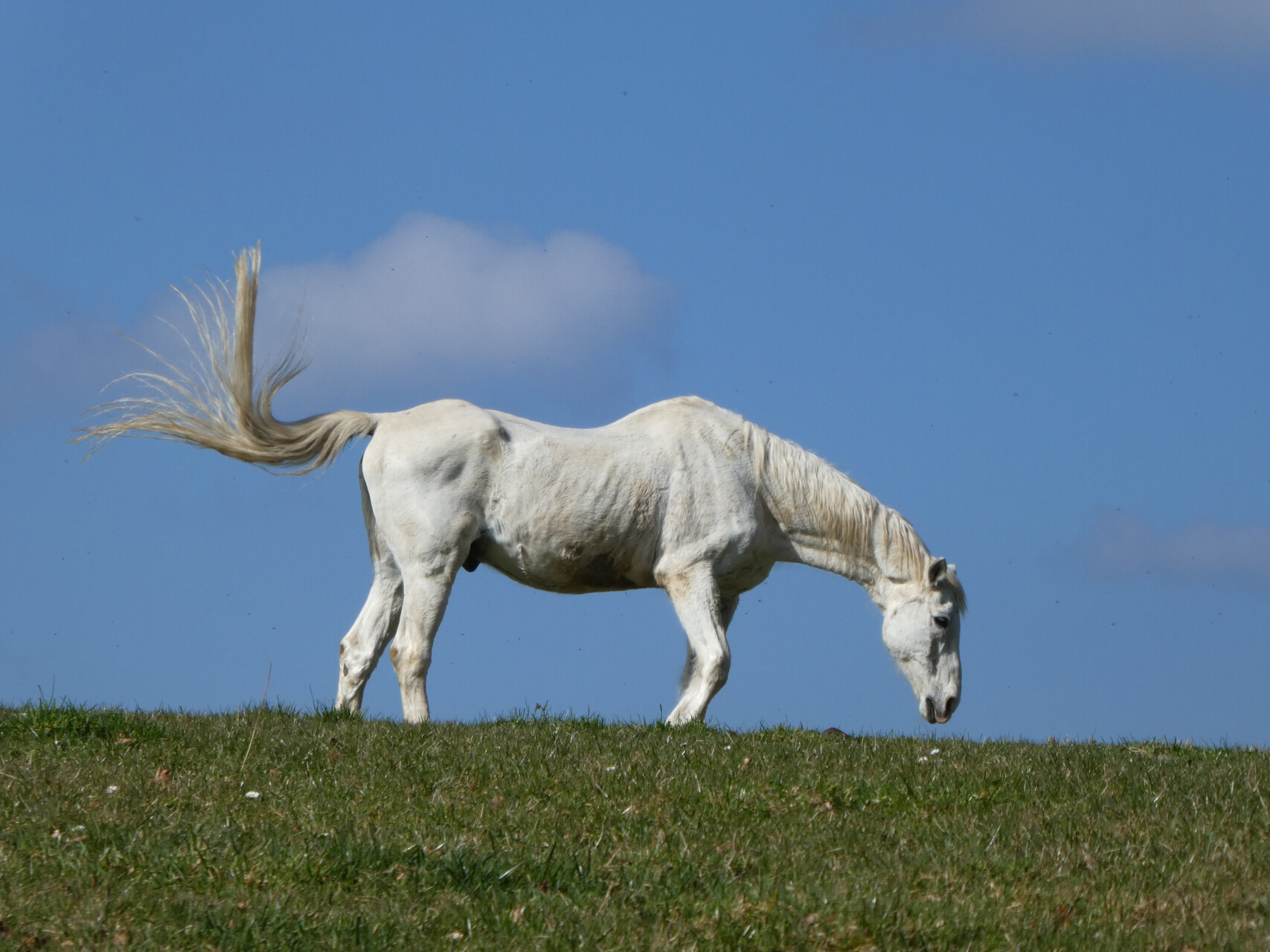 Bergisches Land - 2022
